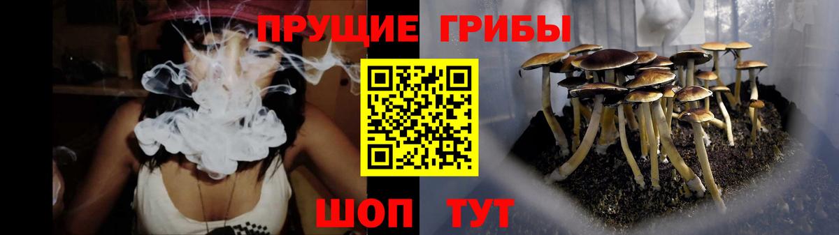 Когалым  Псилоцибиновые грибы MAGIC MUSHROOMS  Вход с VPN 